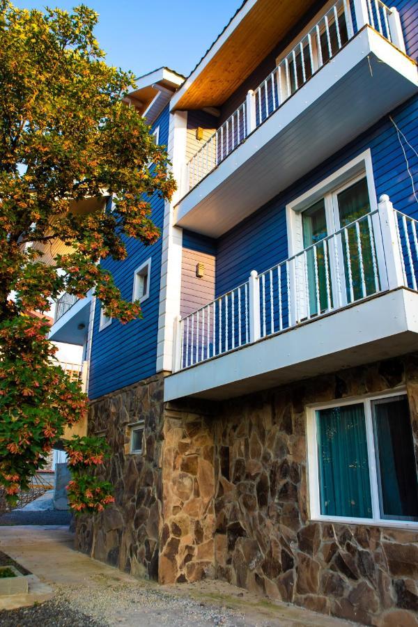 Hotel Blue Heaven Bakuriani Exteriér fotografie